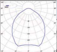  ������ ���� �����